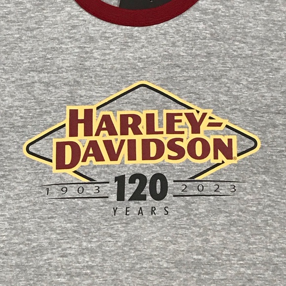 Harley-Davidson 120th Anniversary Women’s Gray Round Neck Biker T-Shirt Size L - Picture 5 of 8